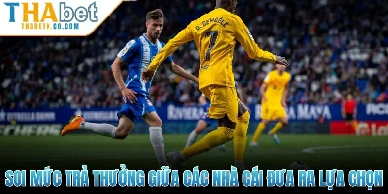 Kèo Rung - Bắt Đỉnh Chuẩn Xác, Tối Ưu Lợi Nhuận Từng Phút 3 Soi mức trả thưởng giữa các nhà cái để đưa ra lựa chọn
